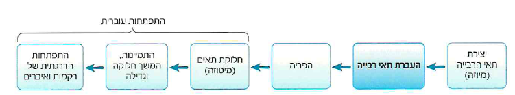 (בספר 2 תמונות)
